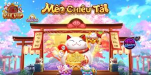 Mèo Chiêu Tài